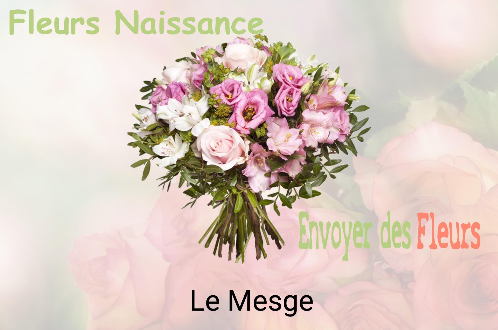 Bouquet de fleurs de naissance livré à Le Mesge